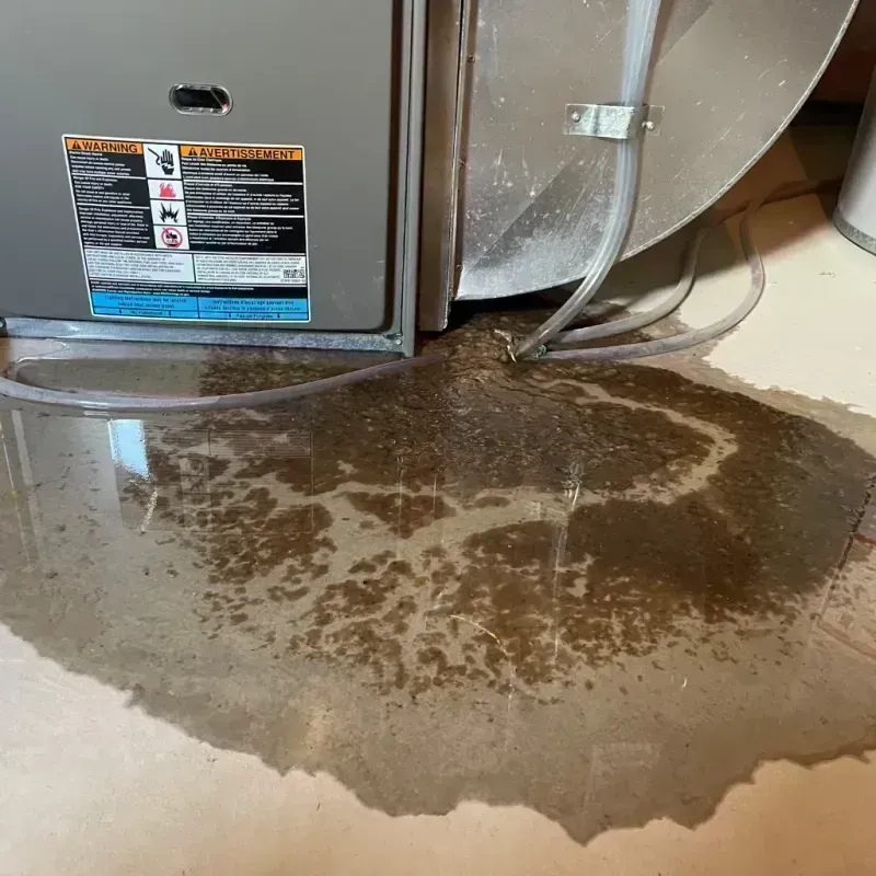 Appliance Leak Cleanup in Ralls County, MO